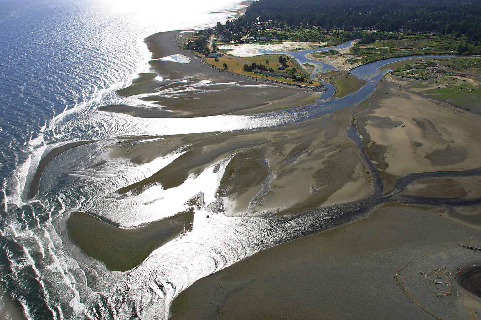 Restoration at 711 Mariner Way in the Estuary