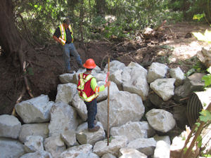 Day 1 Shelly Creek Restoration