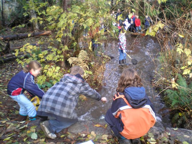 Grade 6 Class at Springwood measuring stream flow