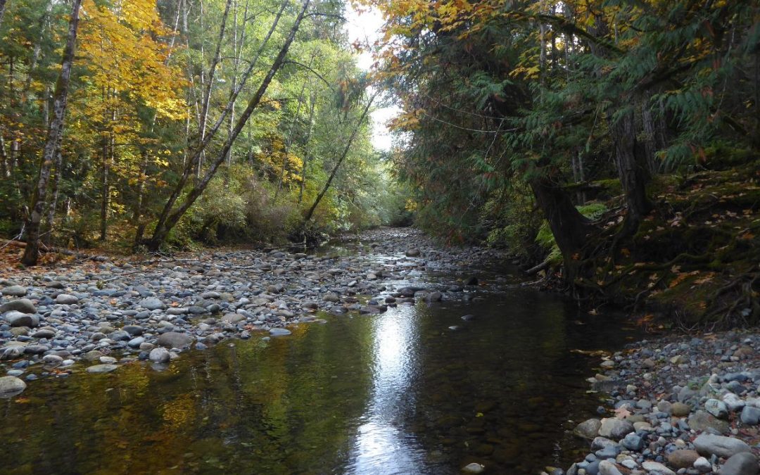 Drought Monitoring on Our Creeks