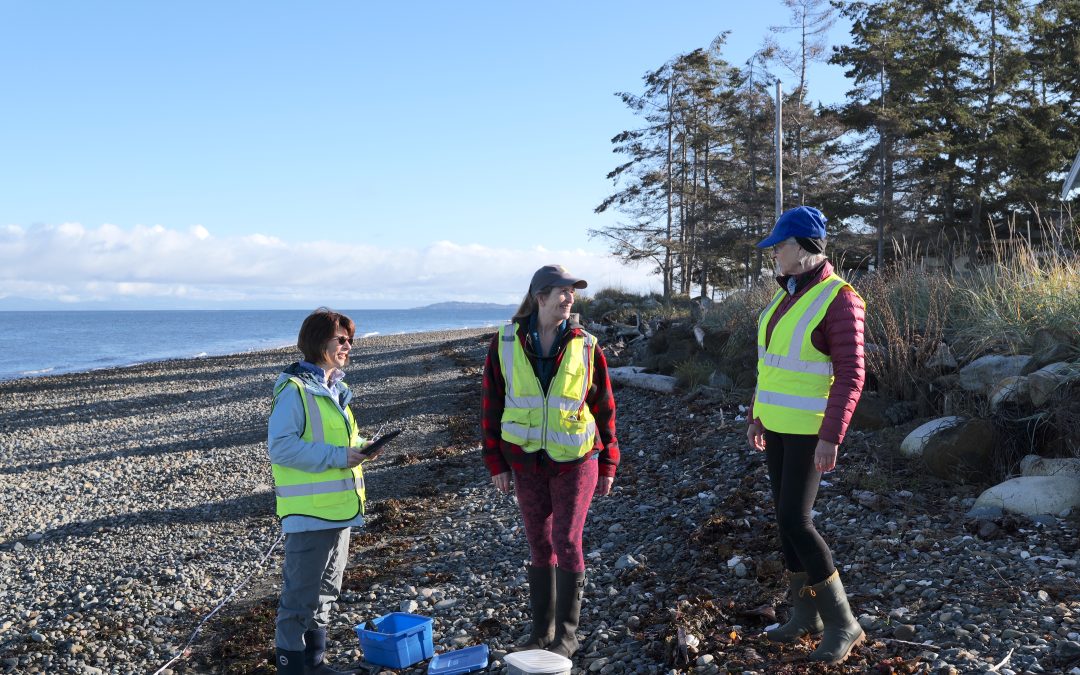 Keeping Busy with MVIHES