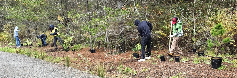 Ballenas ROAMS Students and Teacher Invade the Wetlands