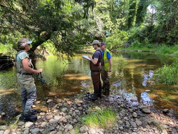 Description of image