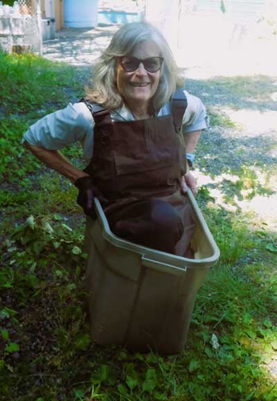 Description of image